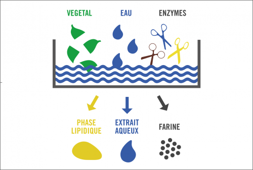 Image of SAVOIR-FAIRE TECHNIQUE