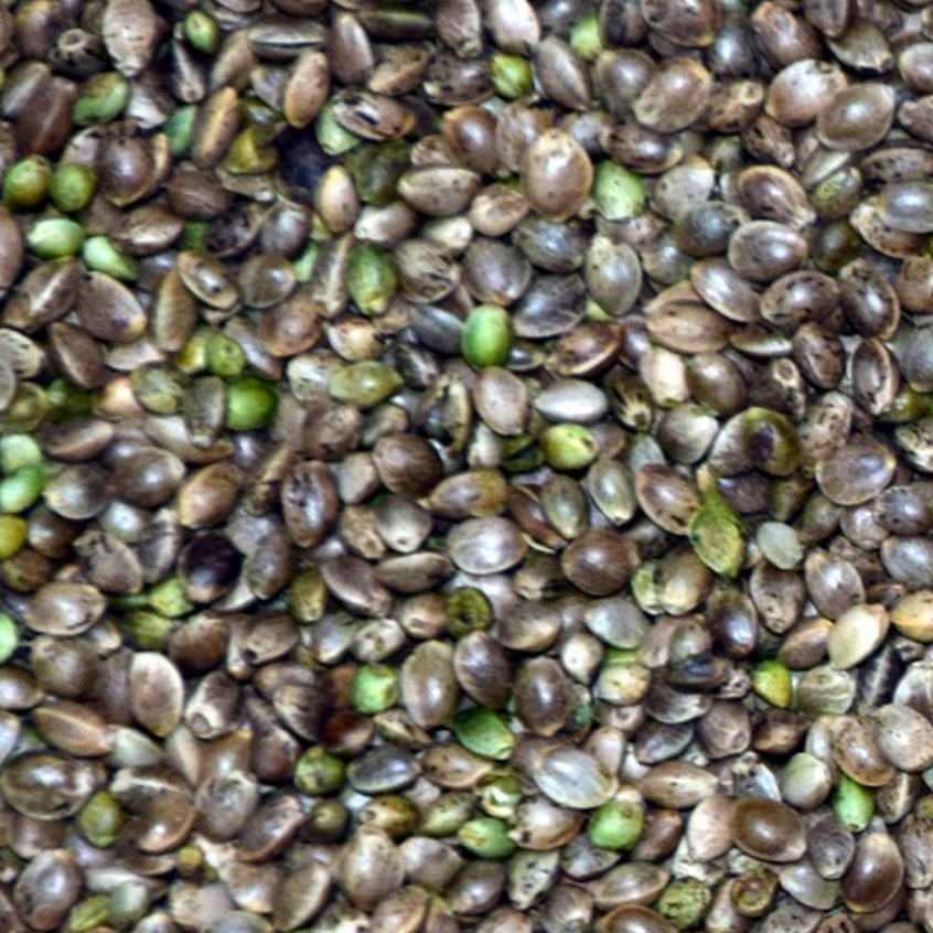 Product image - Hemp Seed Oil