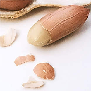 Product image - Peanut Skin Oil