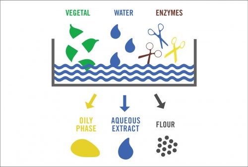 Image of TECHNICAL KNOW-HOW